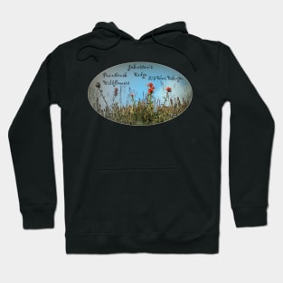 Paintbrush wildflowers, Johnston's Ridge oval Hoodie